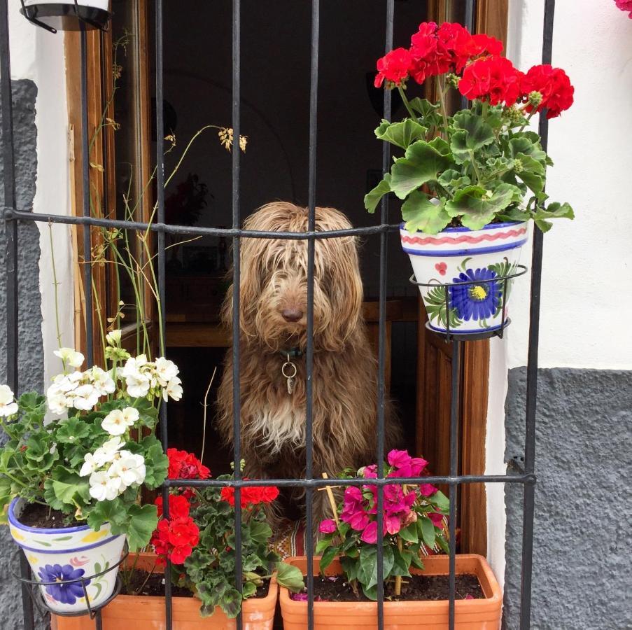 Atelier 88 Bed & Breakfast Alcala La Real Luaran gambar